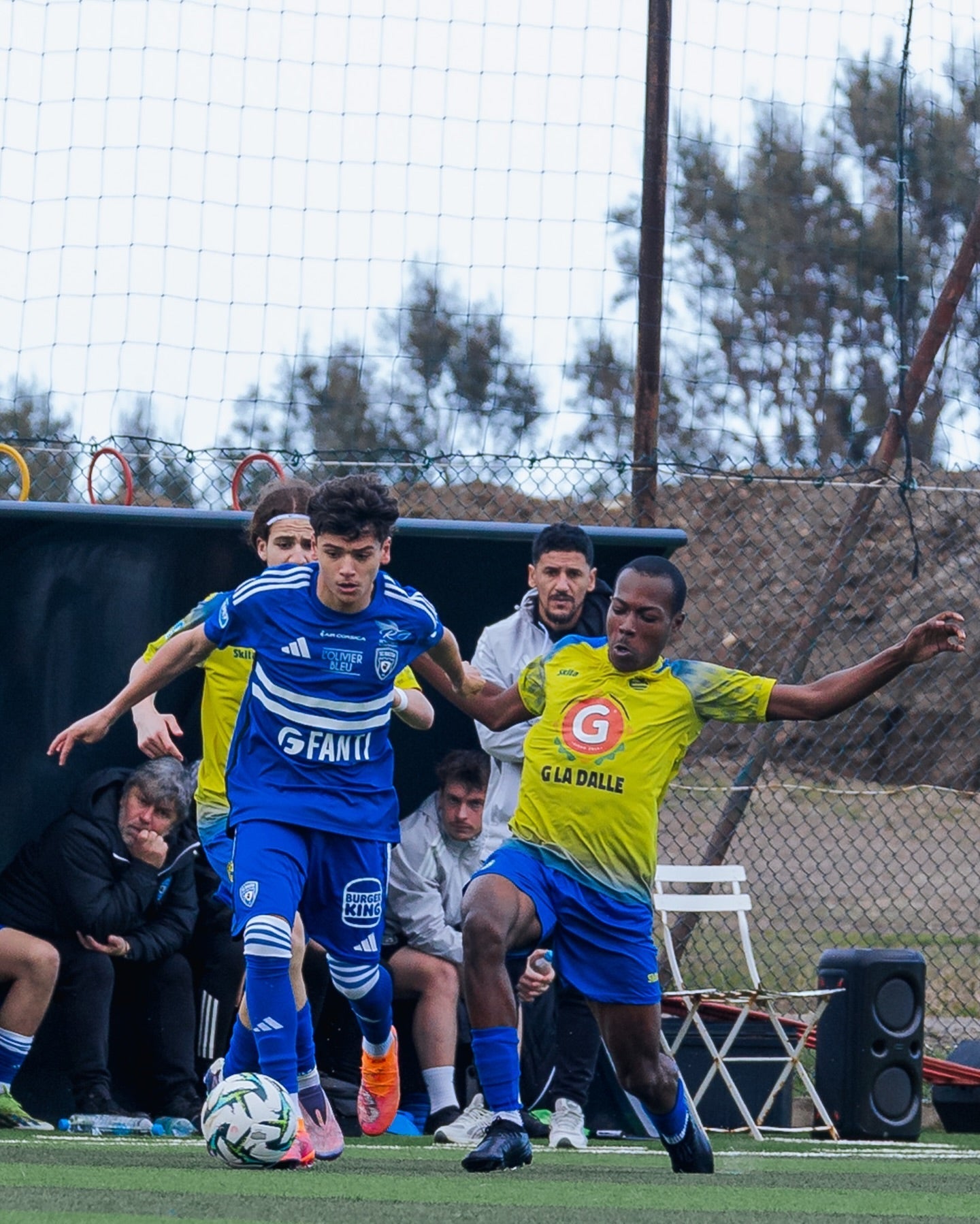 U Prugramma di a Furmazione